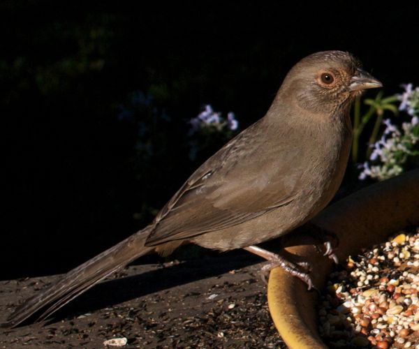 Robert and Barbara Muller