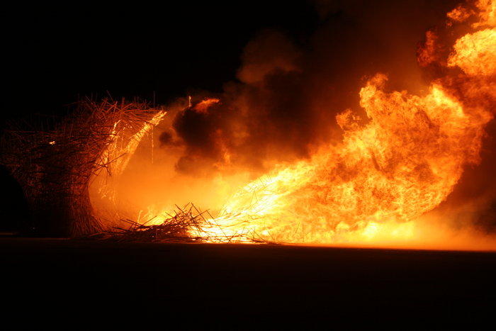 Kelly Durkin's photo of the Waffle